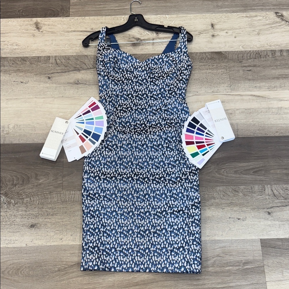 ❄️☀️Nicole Miller Blue and White Patterned Women's Dress